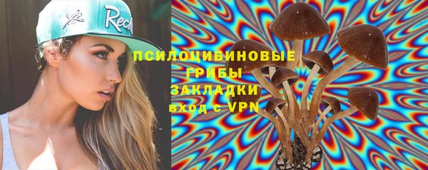 гидра Сатка
