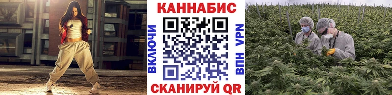 Конопля VHQ  Каргополь 